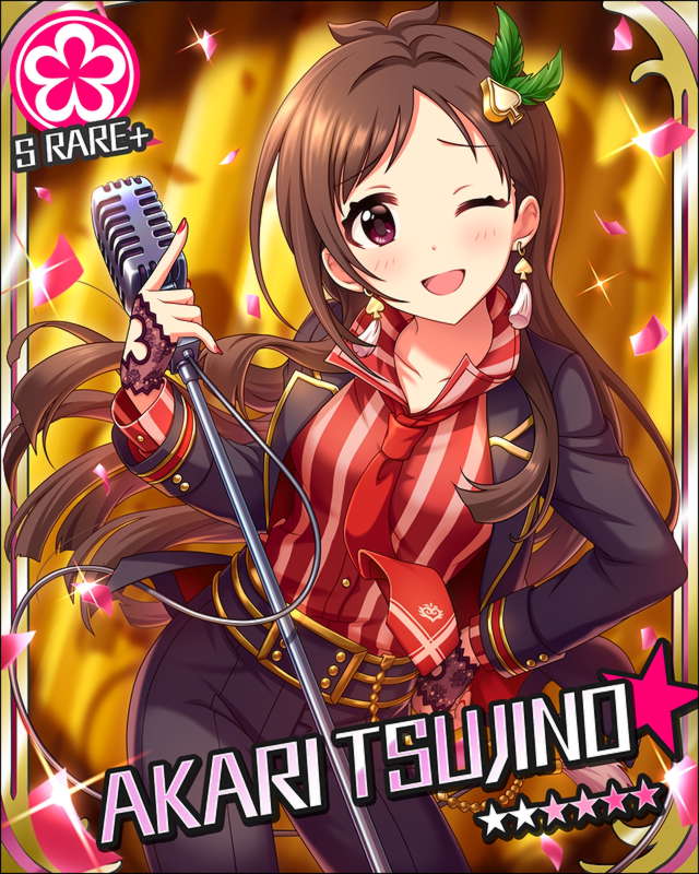 sr1+_card.jpeg